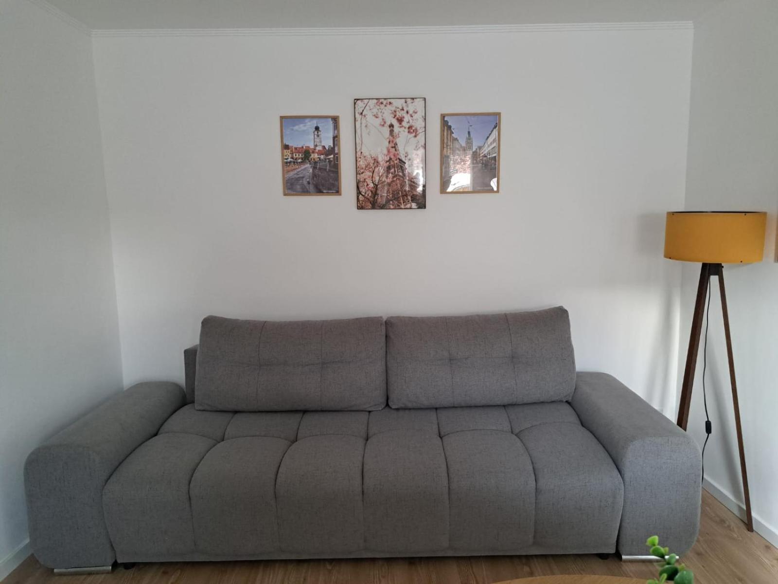 Free Garage In The Center-Delicia 4 Studio! Sibiu Eksteriør bilde